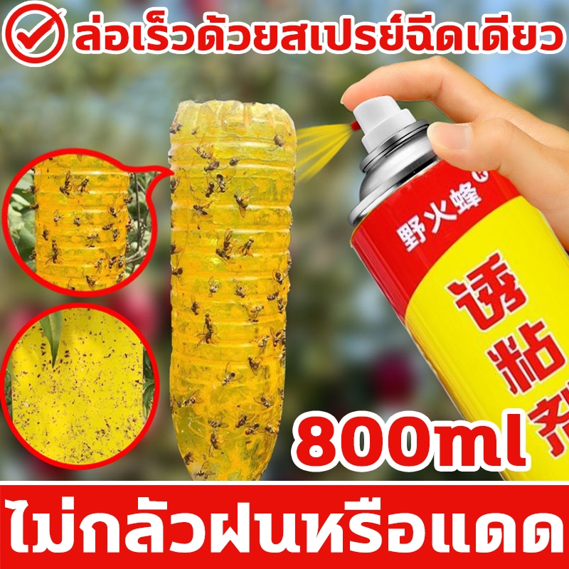 ผลยายาวถึง12เดือน XHS สารล่อแมลงทอง ยากำจัดแมลงวันทอง สารล่อแมลงวันทอง 800ml ล่อเร็วด้วยสเปรย์ฉีดเดียว กันฝนและกันแดด