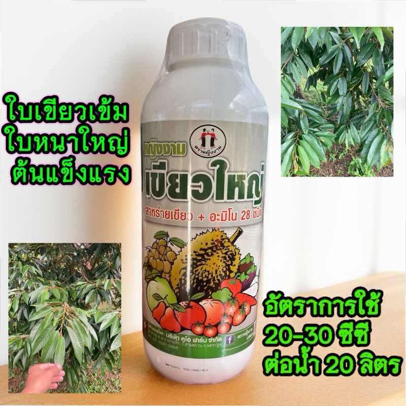 หญิงงาม เขียวใหญ่ 1 ลิตร สาหร่าย+อมิโน 28 ชนิด  เขียวใหญ่ ใบหนา