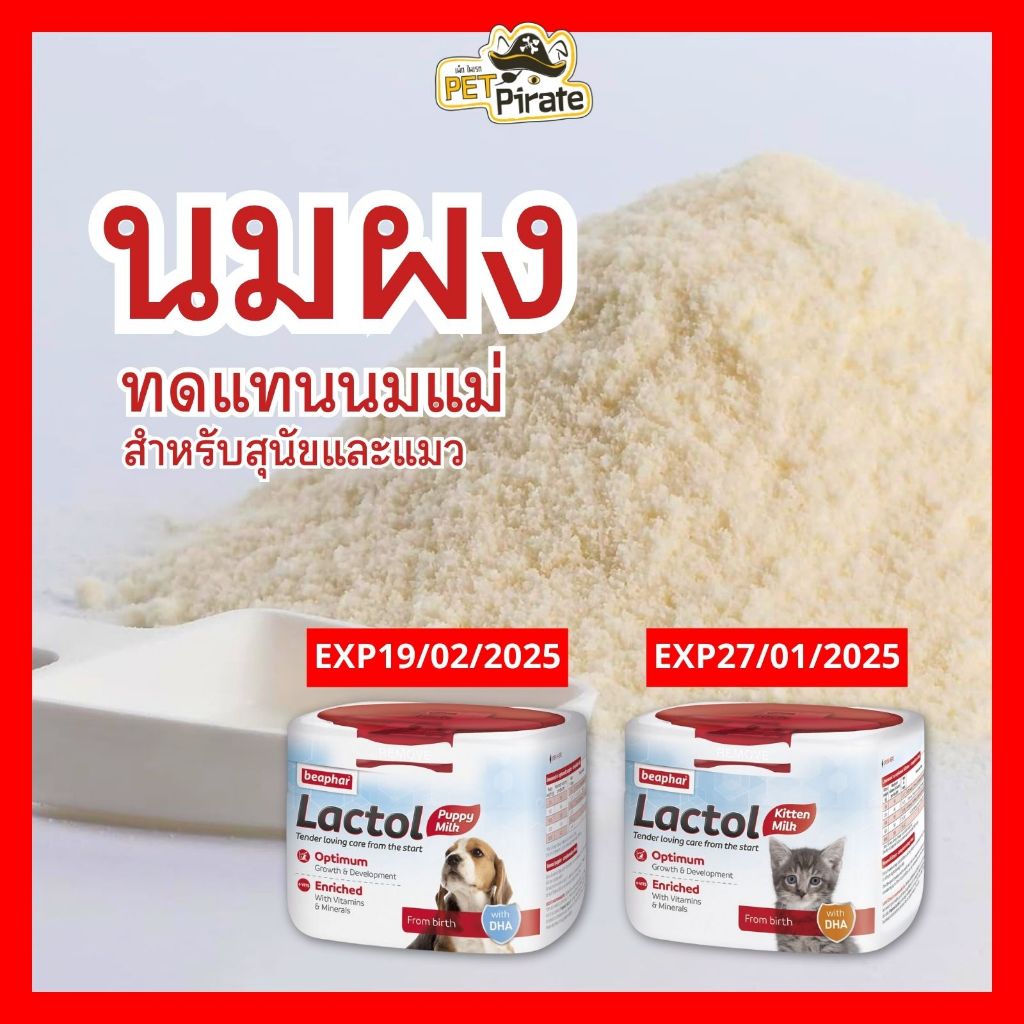 Beaphar Lactol Milk นมผงทดแทนนมแม่ สำหรับสุนัขและแมว มีโปรตีนสูงเพียงพอต่อความต้องการ บรรจุ 250 กรัม