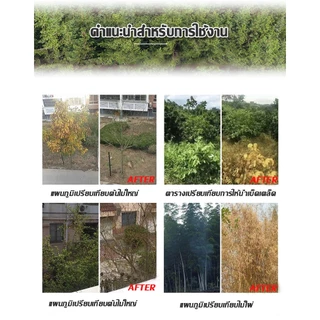 ยาฆ่าตอต้นไม้ ยาฆ่าหญ้ 500g ไม่ทำลายดิน รวดเร็ว ทนนาน ผงกำจัดต้นไม้ ผงกำจัดกอไผ่ ยาฆ่าตอไม้ ยาฆ่าไม้ไผ่ ยาฆ่าต้นไม้ใหญ่