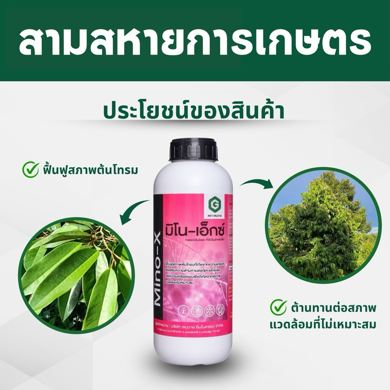 มิโน-เอ็กซ์ - กรดอะมิโนจำเป็นสำหรับพืช 19 ชนิด  ช่วยลดความเครียดของพืชที่เกิดจากสภาพแวดล้อมไม่เหมาะสม  ขนาด1ลิตร