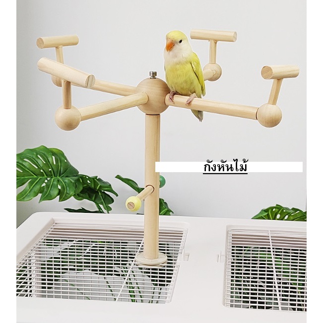 ของเล่นชูการ์ ของเล่นนกแก้ว หลากหลายแบบ เหมาะกับกรงทุกแบบ ติดตะแกรงของกรงได้เลย ขนาด 36x29 CM
