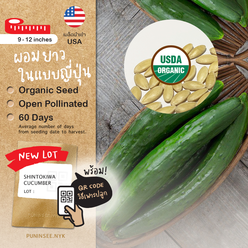 เมล็ดผักนำเข้า แตงกวาญี่ปุ่น Japanese Cucumber (Organic Seed) สลัดแตงกวา ลูกยาว ไม่ตัดต่อพันธุกรรม