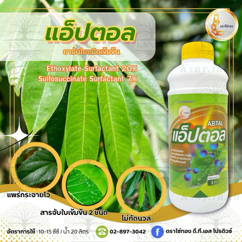 แอ๊ปตอล 1 ลิตร(สารจับใบเข้มข้น แพร่กระจายไว)ช่วยการยึดเกราะกับผิวใบ ช่วยให้สารต่างๆ ซึมเข้าสู่ใบพืชได้อย่างมีประสิทธิภาพ
