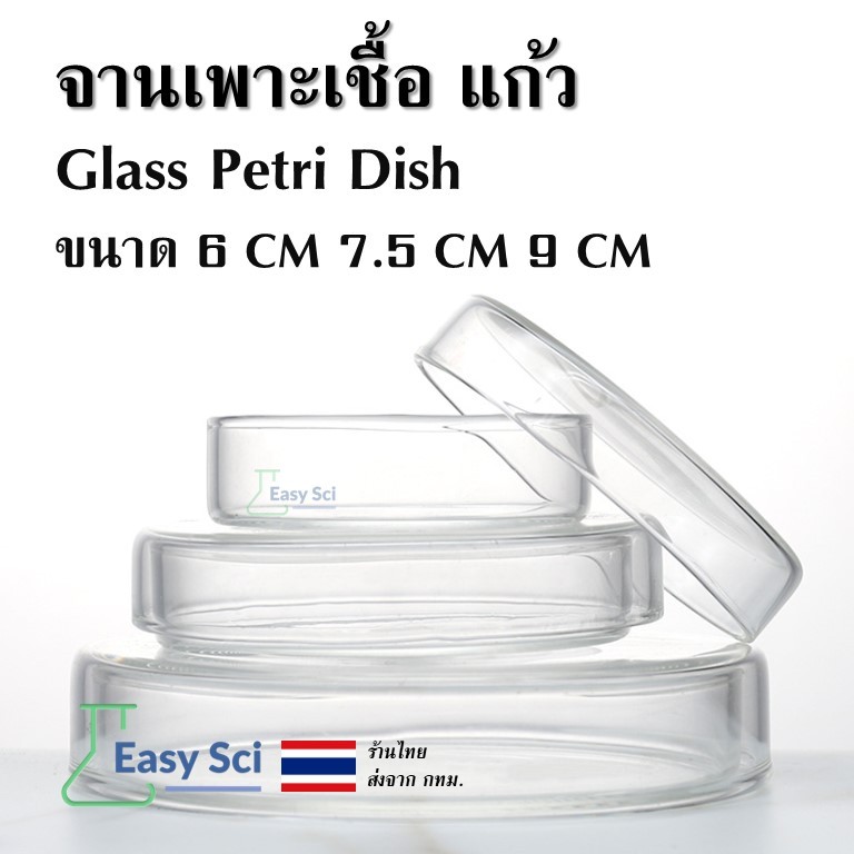 จานเพาะเชื้อแบบแก้ว plate ( Petri Dish ) ช่องเดียว ขนาด 6cm 7.5cm 9cm
