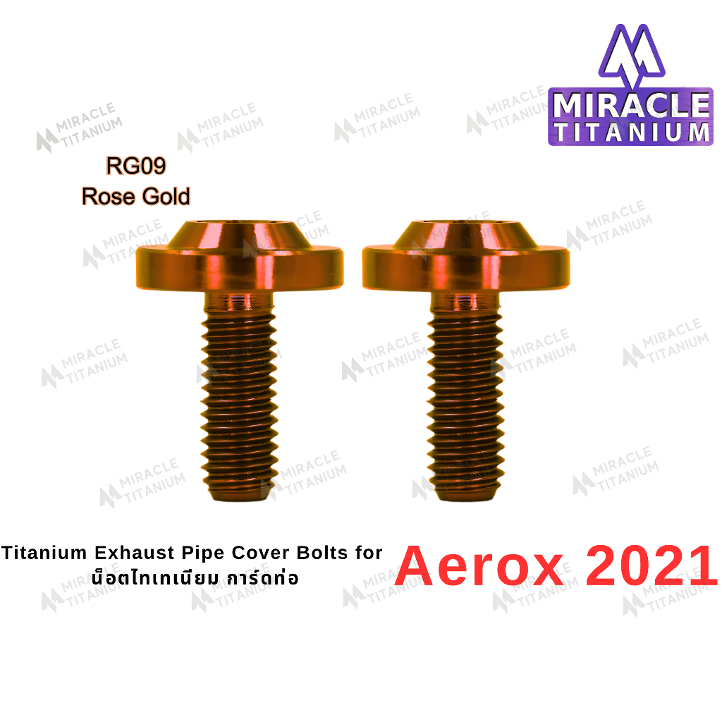 AEROX 2021 Exhaust Pipe Cover Bolts กันร้อนท่อ - รูปที่ 7