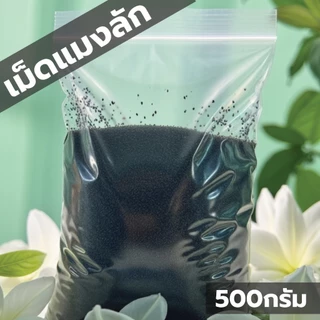 มีส่งด่วน เม็ดแมงลัก 1000กรัม เกรดอุตสาหกรรม สะอาด
