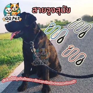 QQPET สายจูงสุนัข พี.เชน สายจูงหมาใหญ่ ป้องกันไม่ให้สุนัขชนและทำร้ายผู้คน สามารถให้พลังปราบปรามแก่สุนัขได้