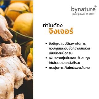 bynature แชมพูขิงและส้ม ลดผมมัน กลิ่นหอมน้ำมันหอมระเหย ปราศจากน้ำหอมสังเคราะห์ Ginger & Citrus Revitalizing Shampoo