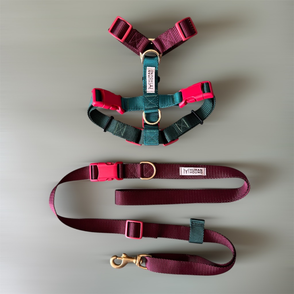 XMAS H-harness สายรัดอกสุนัข Human and Hound รุ่น ไซส์ XS-L : สี Santa's reindeer ชุดคริสต์มาส