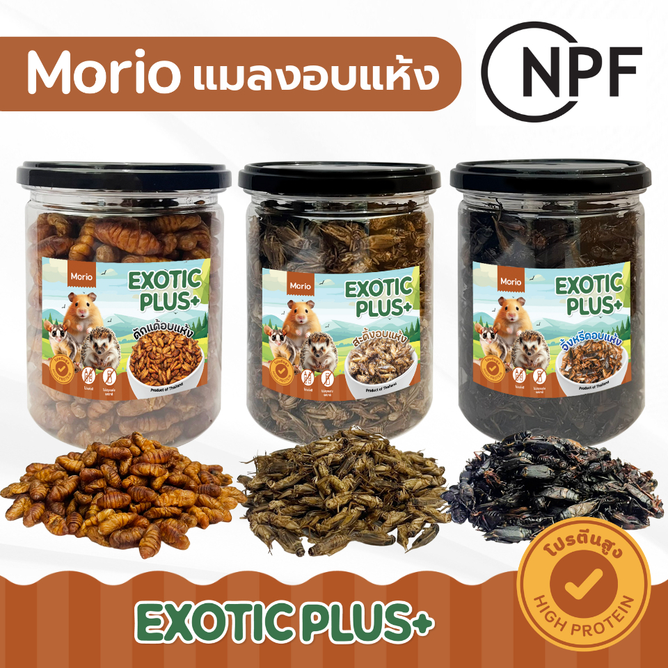 แมลงอบแห้ง Morio 480ml (ดักแด้ จิ้งหรีด สะดิ้ง) โปรตีนสูง เหมาะสำหรับแฮมเตอร์ ชูการ์ เม่นแคระ