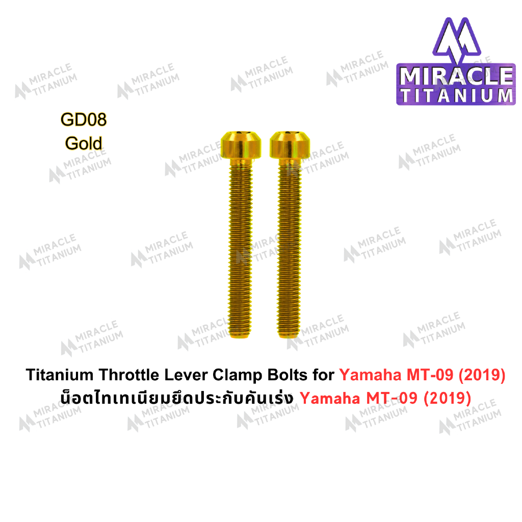 Yamaha MT-09 (2019) Titanium Throttle Lever Clamp Bolts น็อตยึดประกับเร่ง ไทเทเนียม