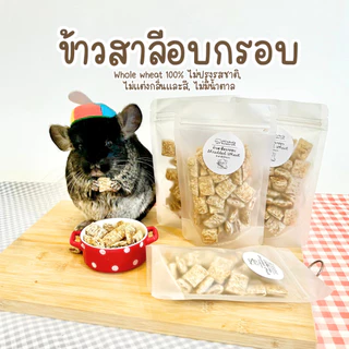 Chinchulie | ข้าวสาลีอบกรอบ ชินชิล่า แพรี่ด็อก กระต่าย ขนมสัตว์ฟันแทะ