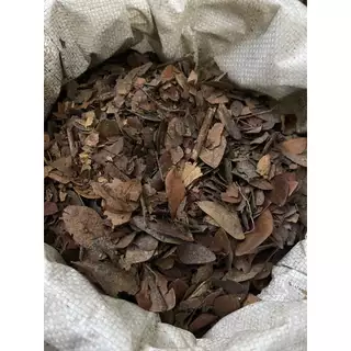 (2ถุง50)(15ถุงส่งฟรี)ใบก้ามปูหมัก ใบไม้ไม้หมัก ธรรมชาติ 1KG. ไนโครเจนสูง เพิ่มความร่วนซุย หมักแล้วพร้อมใช้