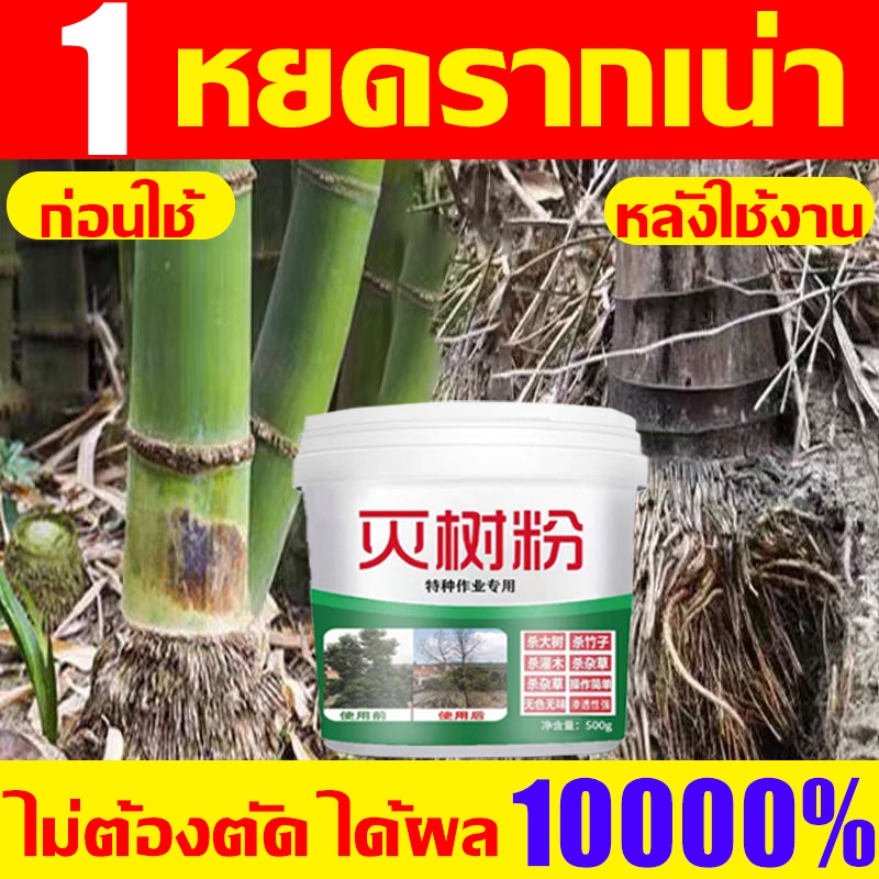 1หยดรากเน่า ยาฆ่าไผ่ ยาฆ่ากอไผ่ ผงกําจัดไผ่ 1000g เข้มข้นมาก ไม่ต้องตัด ได้ผล10000% รากเน่ารากไม่ขึ้นอีก
