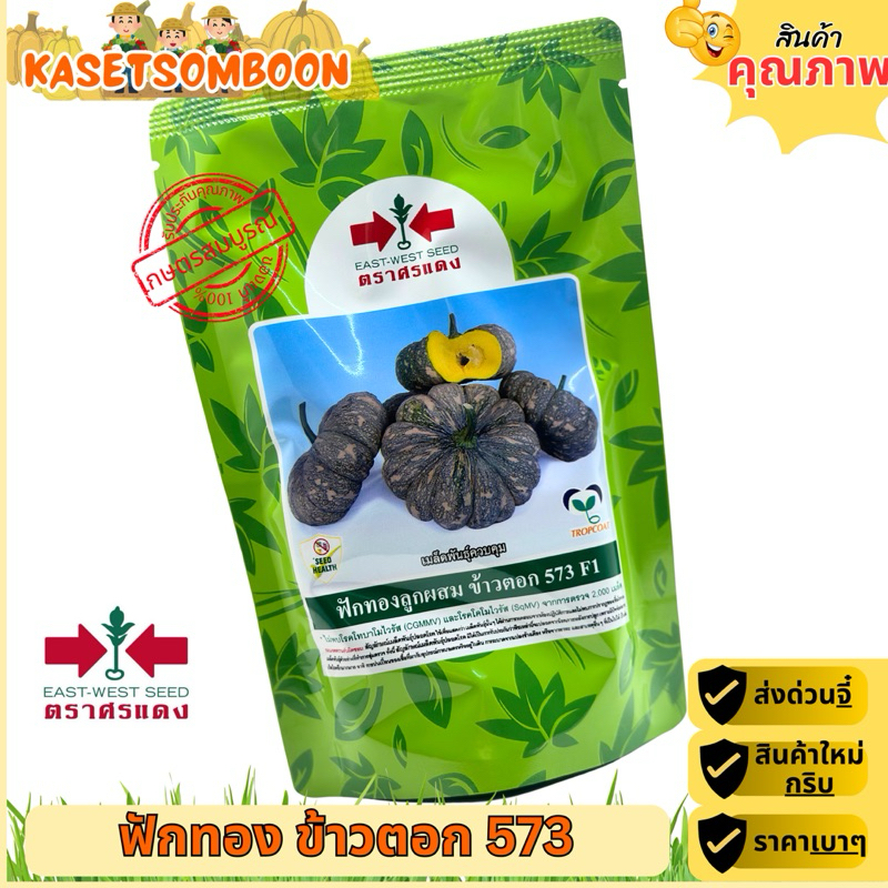 ฟักทองข้าวตอก573 เมล็ดพันธุ์ 100 ก. ตราศรแดง