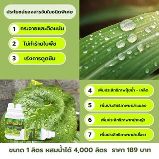 จีฟอร์ซวัน ยาจับใบ สูตรใหม่ น้ำยาสีเขียวอ่อน จับใบ เกาะติดใบ สารจับใบอย่างดี ยาจับใบ ขายดี