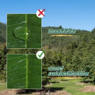 เทคออฟ สารจับใบเป็นสารกลุ่มซิลิโคน ปลอดภัยไม่ทำลายไขใบ