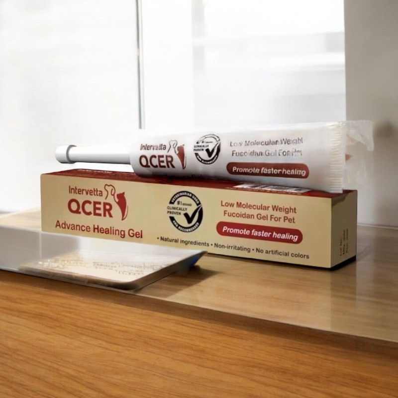 Intervetta QCER Advanced Healing Gel Exp.15/8/2026 ขนาด 15 g. สำหรับให้แผลช่วยให้หายเร็ว ปรับสมดุลภู