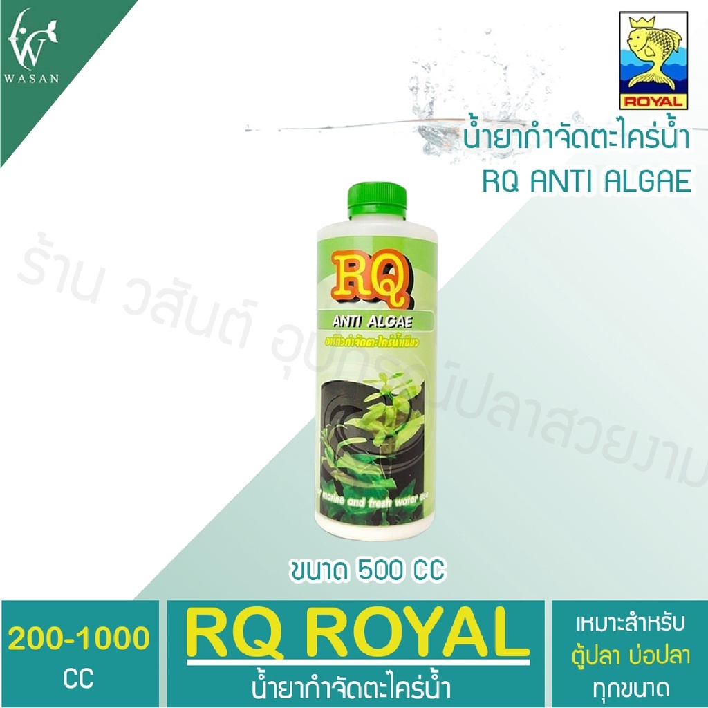กำจัดตะไคร่น้ำเขียว RQ ANTI ALGAE ขนาด 250-1000 cc.