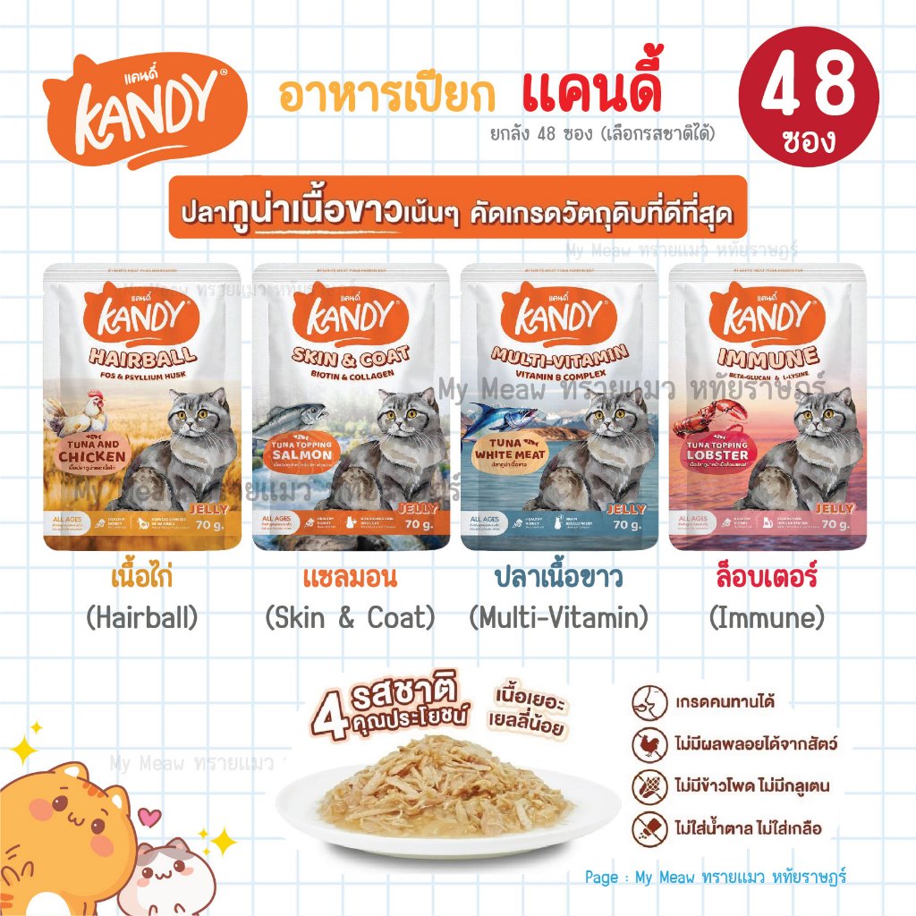 [ ยกลัง 48 ซอง ] Kandy อาหารเปียกแมว แคนดี้ ผลิตจากปลาเนื้อขาว ไม่เติมเกลือ 70 g. รสไก่ แซลมอน ทูน่า
