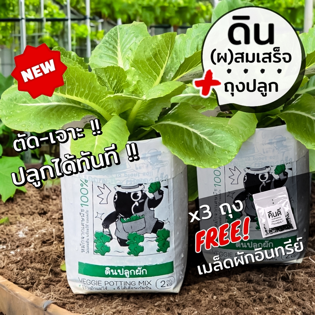 ส่งฟรี ‼️ | ดินปลูกผัก พร้อมถุงปลูก เคล ผักสลัด ผักสวนครัว | ดินหมักพร้อมปลูก + แถมเมล็ดผักอินทรีย์