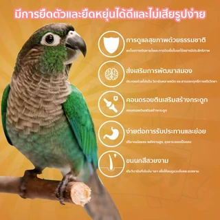 QQPET อาหารสำหรับนก 900g อาหารนกแก้ว อาหารนกผสม ผสมธัญพืช มีคุณค่าทางอาหาร