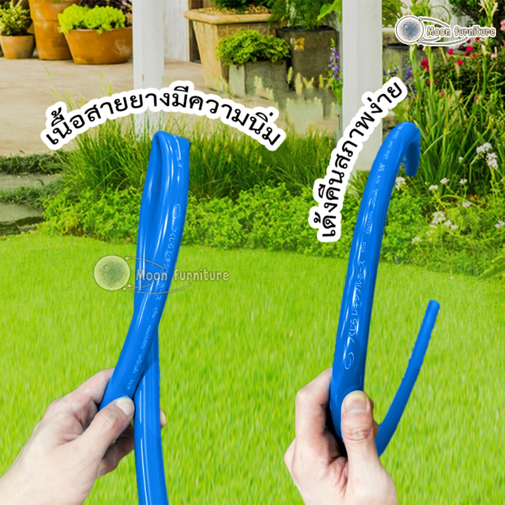 รูปภาพ 7