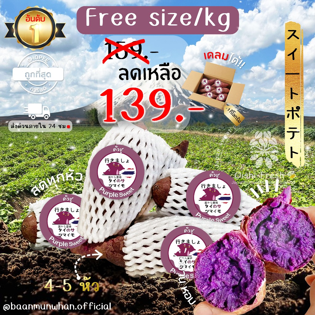 Oishi-Fresh มันหวานญี่ปุ่น 🇹🇭ปลูกในไทย🇹🇭สายพันธุ์ ม่วงเพอเพิ่ล หวาน หอม นุ่ม เนื้อม่วง 1 กิโลกรัม เค