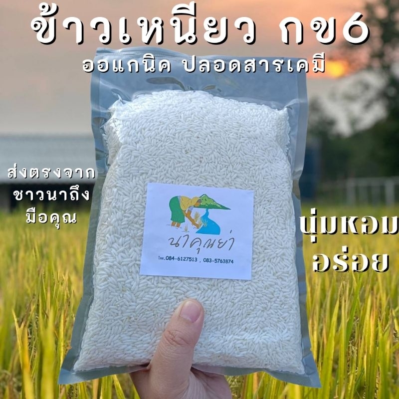 ข้าวเหนียว กข6 100% ออร์แกนิก ปลอดสารเคมี คัดพิเศษ ข้าวใหม่ปี 68 ส่งตรงจากชาวนาถึงมือคุณจากเชียงราย