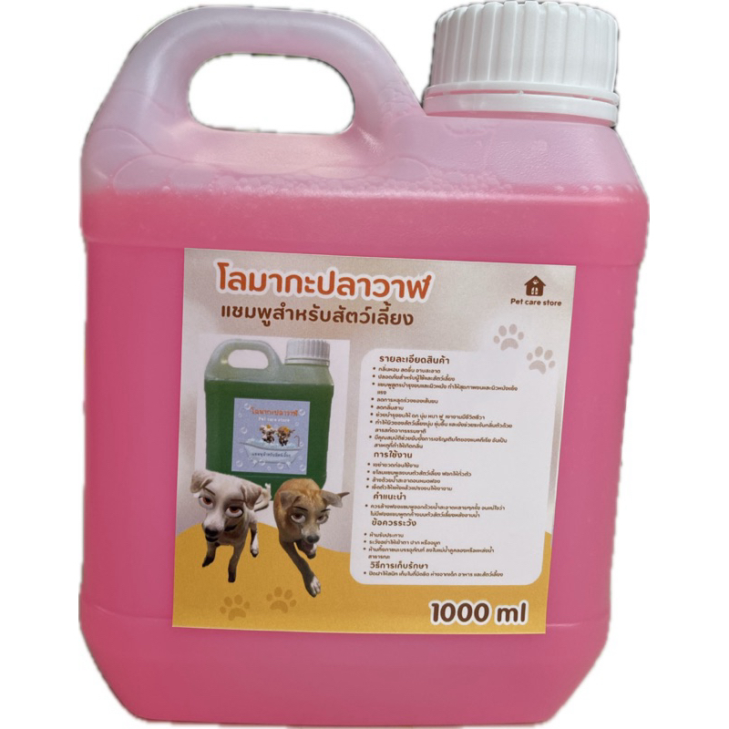 รูปภาพ 2