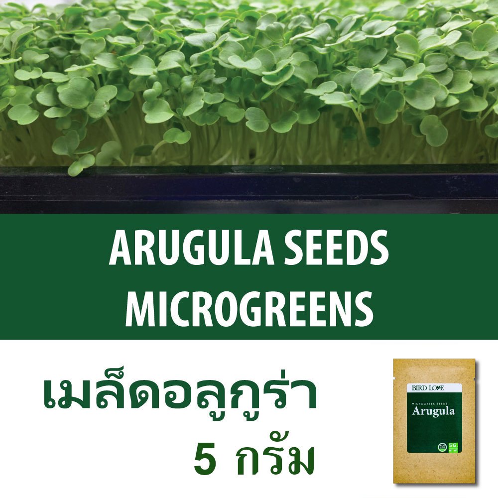 ( ปริมาณทดลองปลูกค่ะ ) เมล็ดไมโครกรีนอลูกูร่า 5 กรัม Arugula Microgreens Seeds 5 G.