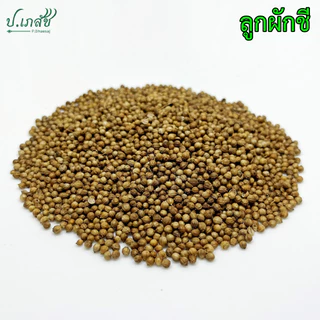 ลูกผักชี [50 / 100 กรัม] เม็ดผักชี เมล็ดผักชี Coriander seeds