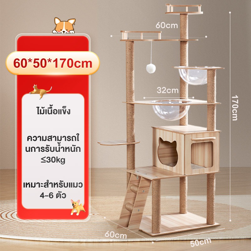 คอนโดแมว คอนโดแมวไม้ บ้านแมว 200CM เหมาะสำหรับเลี้ยงน้องแมว 4-6ตัว เสาลับเล็บ ขนาดใหญ่ สูง170CM