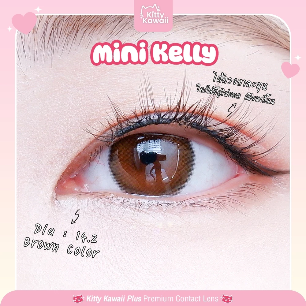 คอนแทคเลนส์🌈Mini Kelly🌈 Brown / Gray (Kitty Kawaii) ขนาดมินิ💖ขายดี🍭