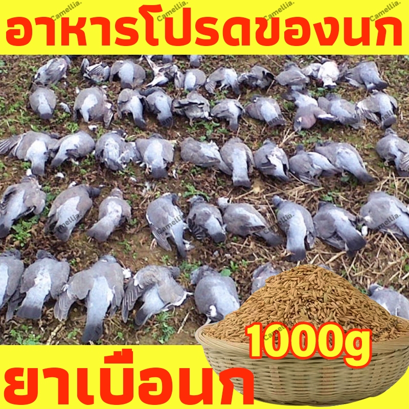 【COD】ธัญพืชธรรมชาติผสมยาเบื่อนก ยาเบื่อนกพิราบ ยาฆ่านกพิราบทำลายอวัยวะภายในตายใน 1วัน แห้งเร็วและไม่มีกลิ่น