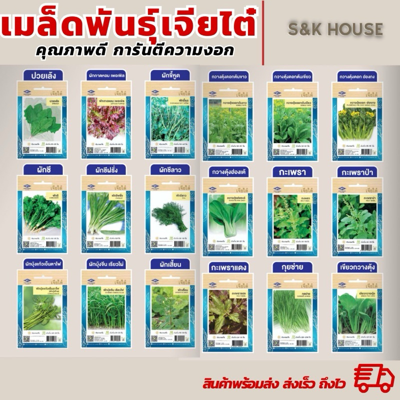 เมล็ดพันธุ์ผัก เมล็ดพันธุ์ เจียไต๋ แบบซอง มะเขือเทศ ผักกาด กะหล่ำ กวางตุ้ง ผักชี ต้นหอม แตงกวา ผักบุ้ง พริก