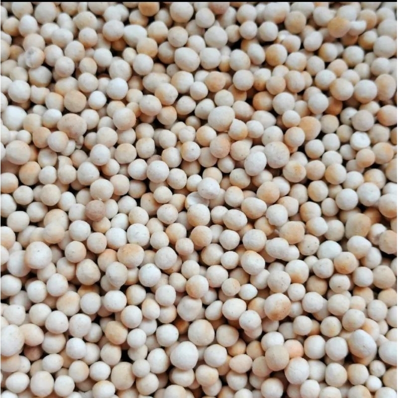 สาคูต้นพัทลุง น้ำหนัก 5 กิโลกรัม (5 ถุง) - รูปที่ 4