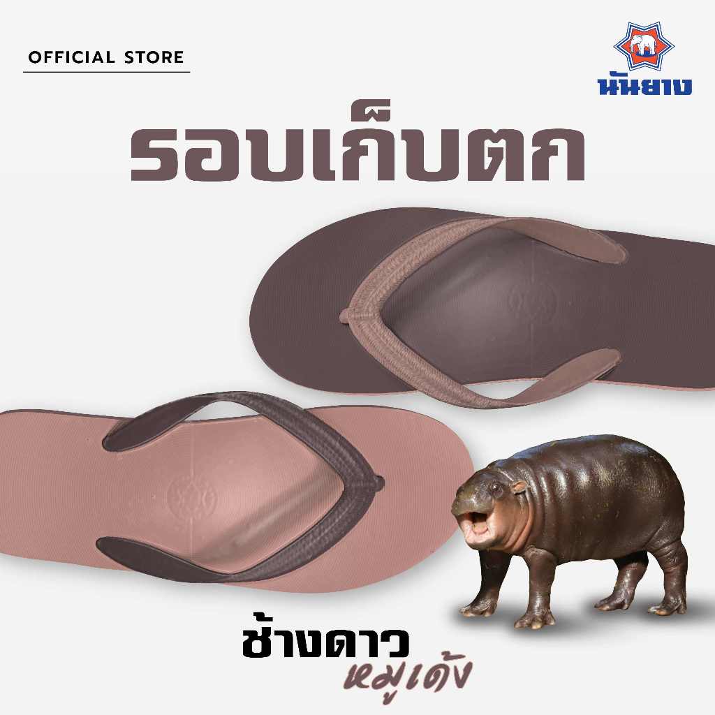 Nanyang Changdao Flipflop รองเท้าแตะช้างดาวหมูเด้ง (รอบเก็บตก)