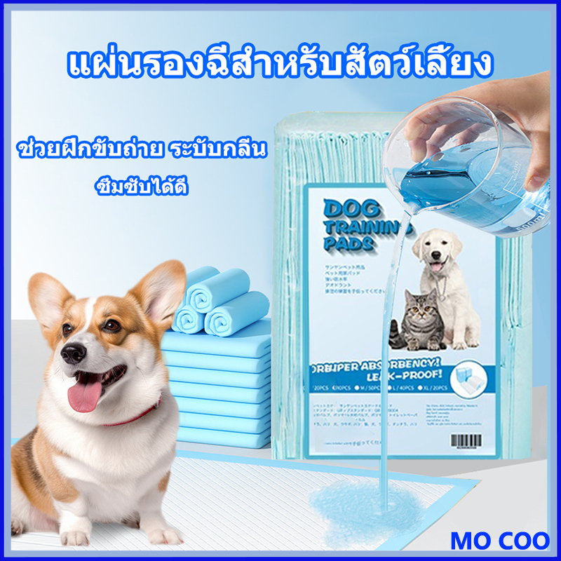 แผ่นรองฉี่สำหรับสัตว์เลี้ยง ซึมซับไดีดี ต่อต้านแบคทีเรีย แผ่นรองฉี่ ผ้ารองฉี่สุนัข แผ่นรองฉี่แมว แผ่นรองซับ ทรายแมว