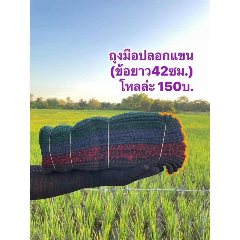 ถุงมือยาว ทอยาวพิเศษ 42ซม (ถุงมือปลอกแขนแบบยาว) 1โหลมี12คุ่ คละสี