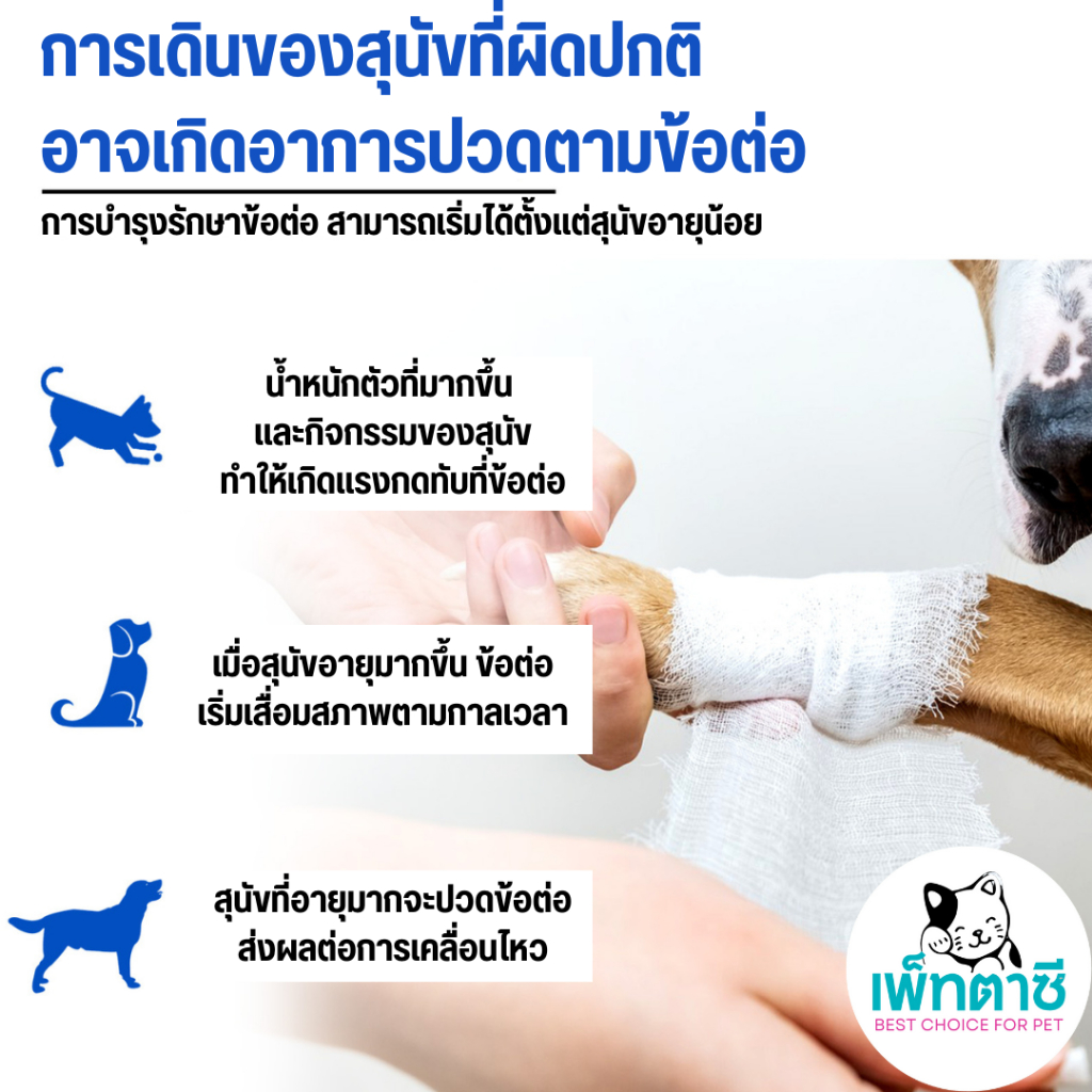 Oimmal Joint Aid & Relief วิตามินบำรุงข้อ ข้อต่อสุนัข ลดการอักเสบ บำรุงกระดูก สำหรับสุนัข - รูปที่ 7