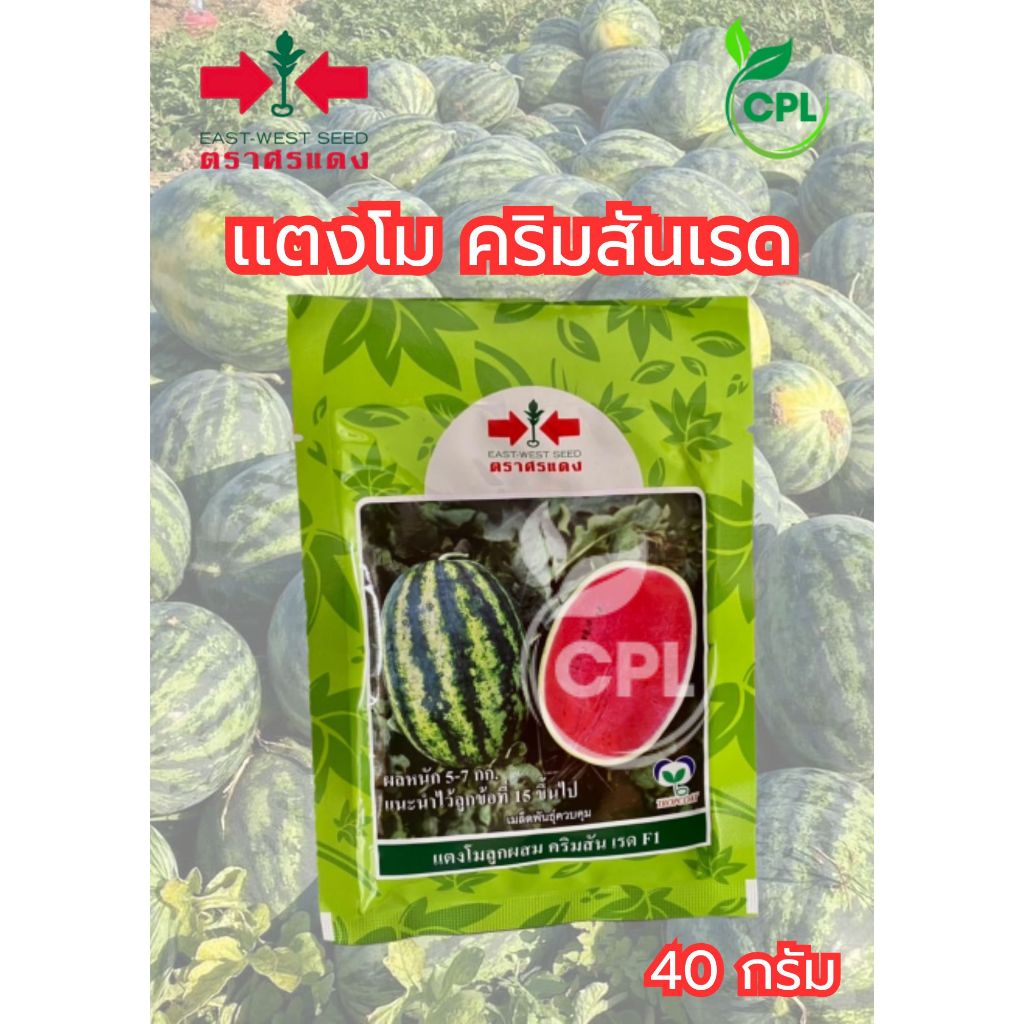 เเตงโม คริมสัน เรด 40กรัม ศรเเดง สิ้นอายุทำพันธุ์ 12-2569