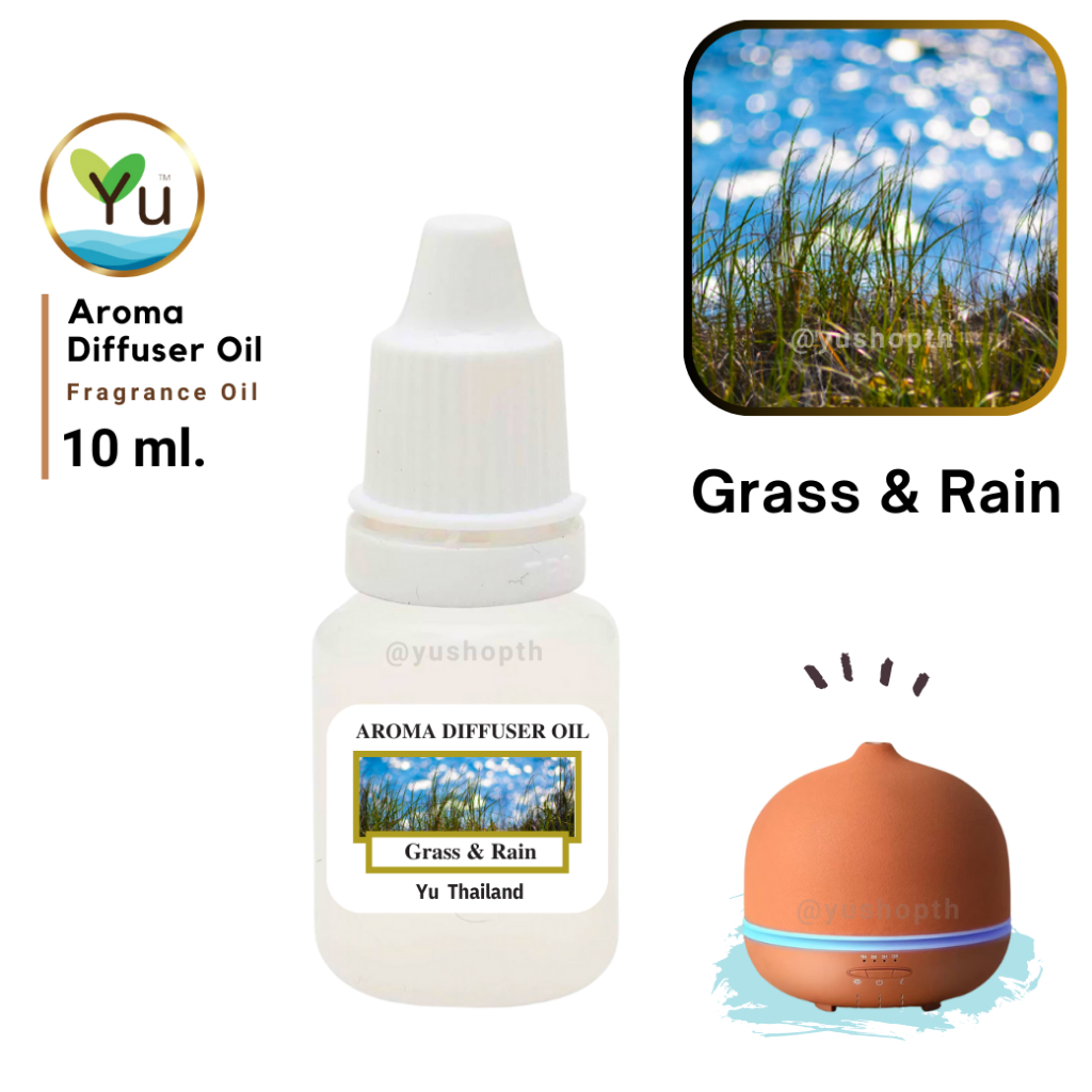 กลิ่น Grass & Rain หญ้า และ ฝน สูตรช่วยถนอม เครื่องพ่นอโรม่า เครื่องพ่นไอน้ำ ไม่มีแอลกอฮอล์ Oil Ozone 10 ml.