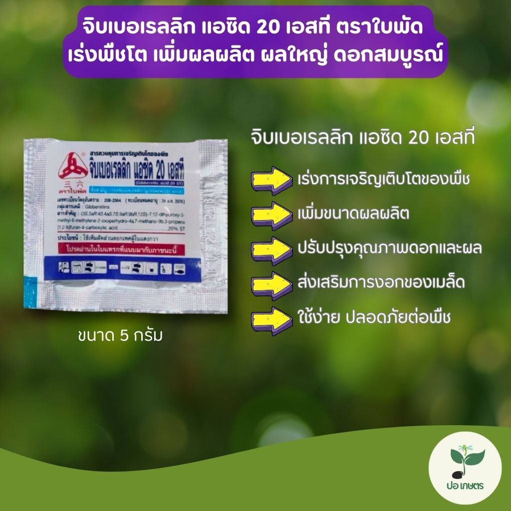 จิบเบอเรลลิก แอซิด 20 เอสที (5 กรัม) ใบพัด เร่งการเจริญเติบโต ดอกสมบูรณ์ ผลใหญ่ ใช้ได้ทุกพืชผล