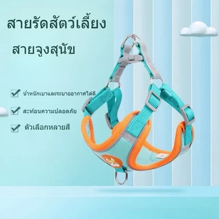 สายรัดอกแมวและสุนัข ฟรีสายจูง สายจูงสะท้อนแสงสำหรับสัตว์เลี้ยงกลางแจ้ง สุนัขและแมวสามารถใช้ได้ L267
