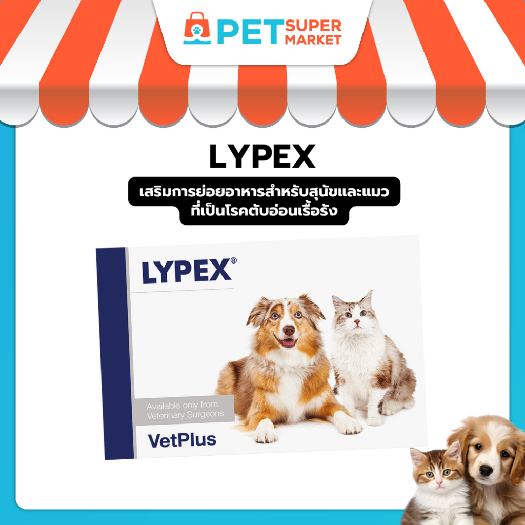 ขายดี Lypex ไลเป็กซ์ เสริมการย่อยอาหารสำหรับสุนัขและแมวที่เป็นโรคตับอ่อนเรื้อรัง 3 เดือน ขึ้นไป Exp.