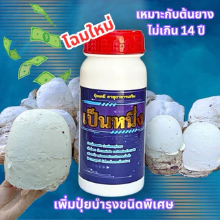 เป็นหนึ่งปุ๋ยทาหน้ายาง สูตรฝาแดง 10-14ปี ขนาด 500cc แถมแปรงทุกออเดอร์