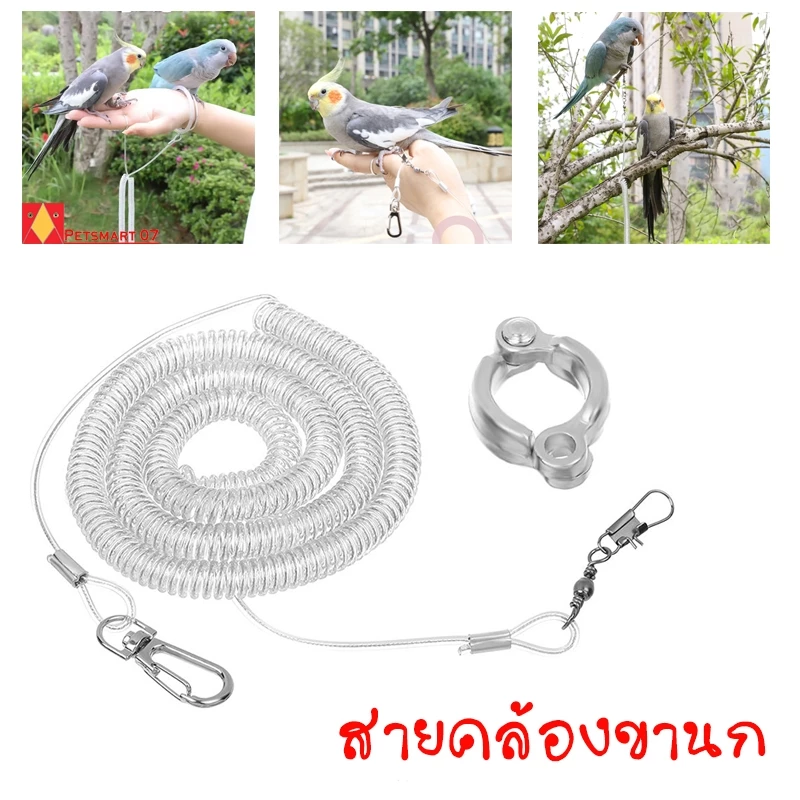 สายคล้องขานก โซ่คล้องขานก ห่วงขานก สายจูงนกแบบยืดหยุ่นได้ ห่วงขานกแก้ว นกแก้ว ฟอพัส หงษ์หยกเลิฟเบิร์