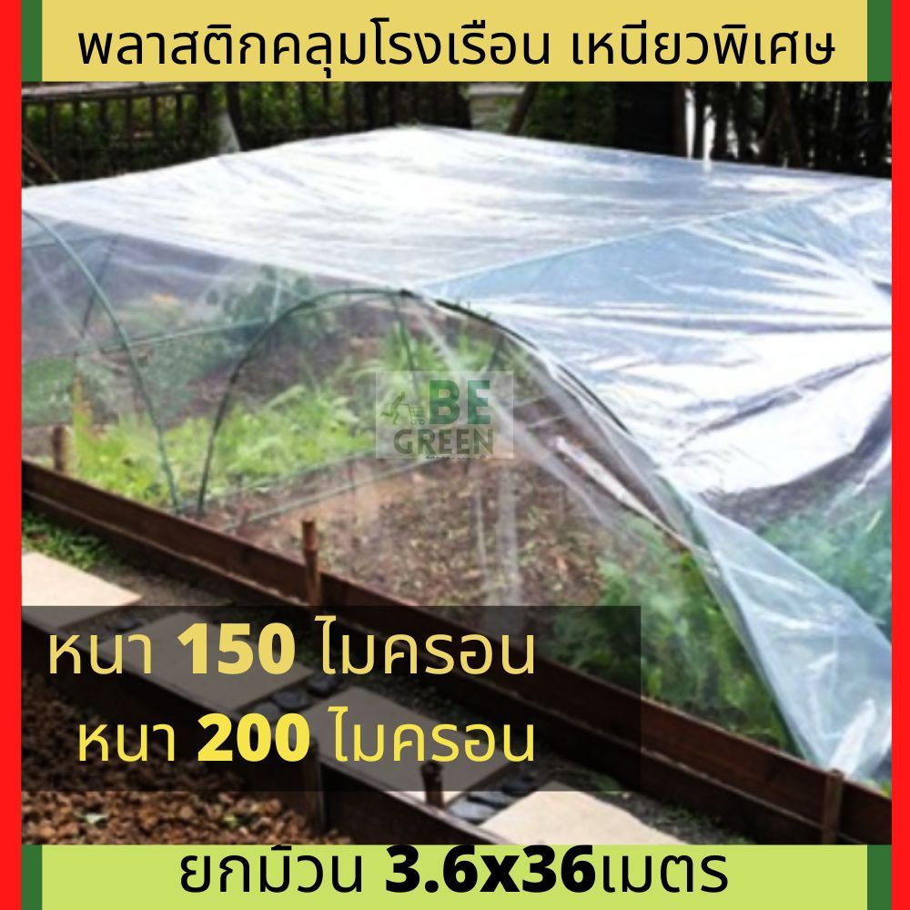 พลาสติกโรงเรือน พลาสติกใส 🚩120-200ไมครอน ยกม้วน36เมตร พลาสติกคลุมโรงเรือน คลุมแปลงผัก กันน้ำ กันฝน โ